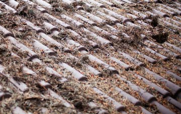 Wycliffe roof cleaning companies