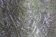 Wycliffe fibreglass roof work